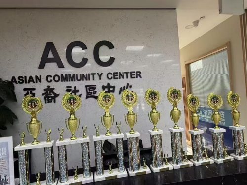 ACC 2nd Chess Tournament 2025