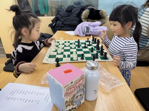 17th Chess Class